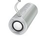 Borofone Portable Bluetooth Speaker BR22 Sports grey cena un informācija | Skaļruņi | 220.lv