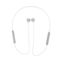 GJBY headphones - SPORTS BLUETOOTH CA-113 White цена и информация | Наушники с микрофоном Asus H1 Wireless Чёрный | 220.lv