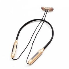 GJBY headphones - SPORTS BLUETOOTH CA-125 Gold цена и информация | Наушники с микрофоном Asus H1 Wireless Чёрный | 220.lv