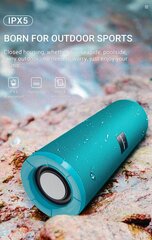 Borofone Portable Bluetooth Speaker BR1 Beyond red цена и информация | Аудиоколонки | 220.lv