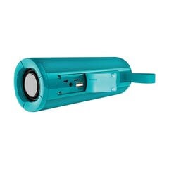 Borofone Portable Bluetooth Speaker BR1 Beyond turquoise цена и информация | Аудиоколонки | 220.lv