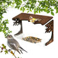 Pie loga montējama caurspīdīga putnu barotava cena un informācija | Putnu būri un barotavas | 220.lv