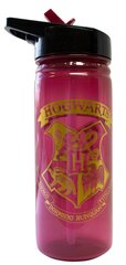 Harry Potter 600ml цена и информация | Атрибутика для игроков | 220.lv