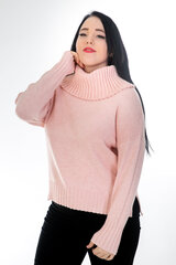 Džemperis ar augstu paplašinātu apkakli cena un informācija | Sieviešu džemperi | 220.lv