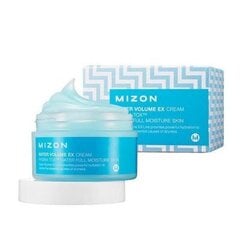 Mizon Water Volume EX Cream Hydra Tox Water Full Moisture Skin sejas krēms, 230 ml cena un informācija | Sejas krēmi | 220.lv