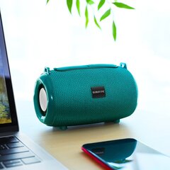 Borofone Portable Bluetooth Speaker BR4 Horizon turquoise цена и информация | Аудиоколонки | 220.lv