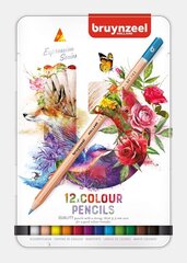 Krāsaino zīmuļu komplekts Bruynzeel Expression, 12 krāsas metāla penālī cena un informācija | Modelēšanas un zīmēšanas piederumi | 220.lv