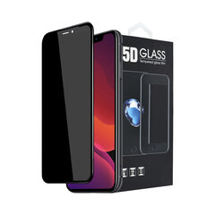 Защитное стекло 5D Privacy для экрана iPhone 11 Pro/X/Xs (5,8") цена и информация | Защитные пленки для телефонов | 220.lv