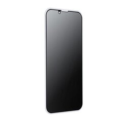 Защитное стекло 5D Privacy для экрана iPhone 11 / Xr (6,1") цена и информация | Защитные пленки для телефонов | 220.lv