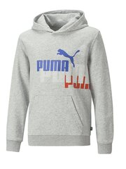 Детская толстовка PUMA Ess Logo Power Light Gray 234236661 цена и информация | Свитеры, жилетки, пиджаки для мальчиков | 220.lv