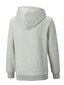 PUMA Ess Logo Power Light Gray 234236661 cena un informācija | Zēnu jakas, džemperi, žaketes, vestes | 220.lv