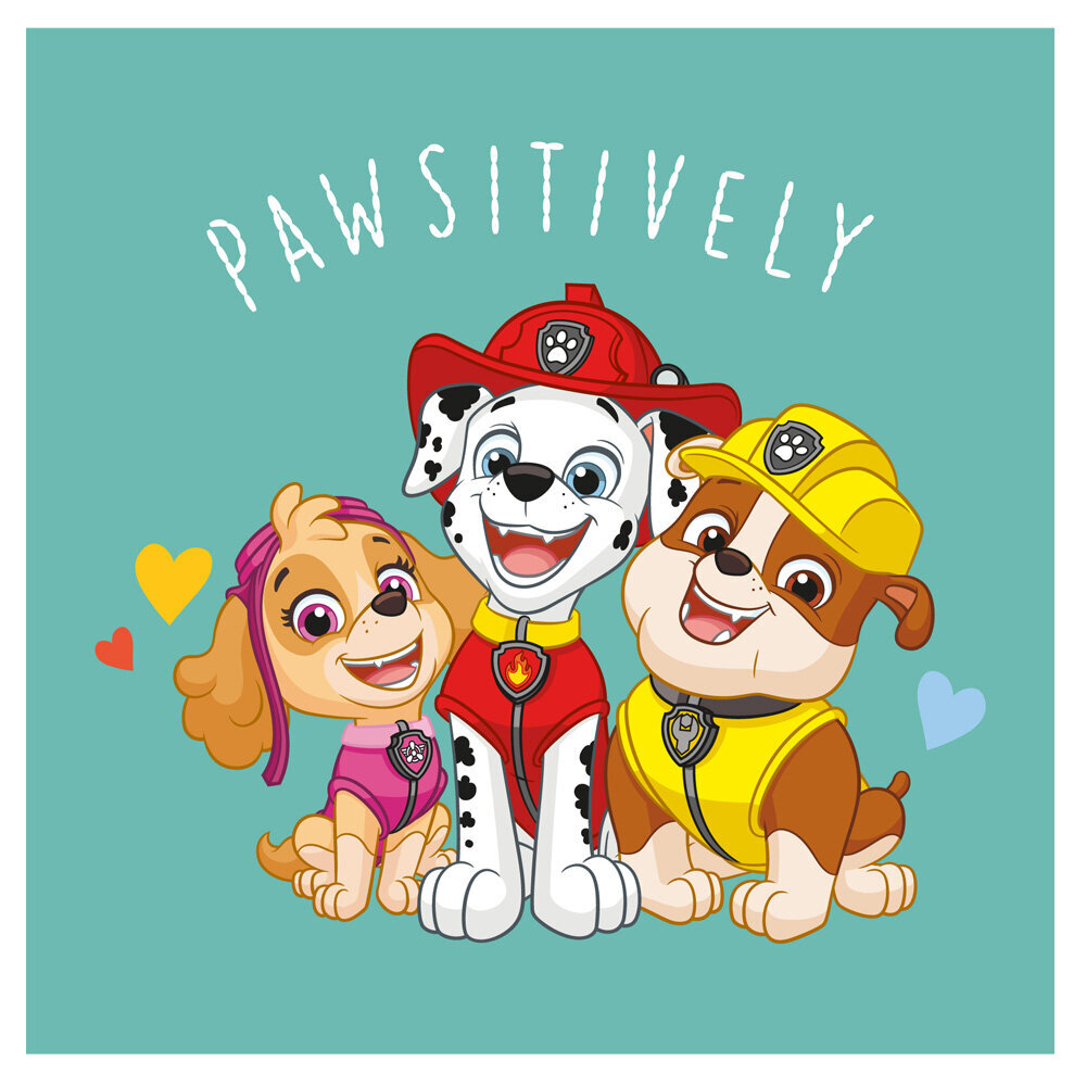 Paw Patrol dvielis 30x30 cena un informācija | Dvieļi | 220.lv