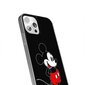 Disney Apple Iphone 11, dažādas krāsas cena un informācija | Telefonu vāciņi, maciņi | 220.lv