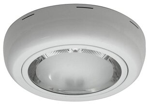 Потолочный светильник DMN-01 цена и информация | Потолочные светильники | 220.lv