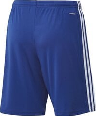 Vīriešu šorti Adidas Squadra 21 GK9153, zili цена и информация | Футбольная форма и другие товары | 220.lv