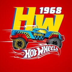 Hot Wheels burvju roku dvielis cena un informācija | Dvieļi | 220.lv