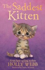 Saddest Kitten цена и информация | Книги для подростков  | 220.lv