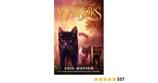 Warriors: A Starless Clan #2: Sky cena un informācija | Grāmatas pusaudžiem un jauniešiem | 220.lv