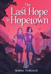 The Last Hope in Hopetown cena un informācija | Grāmatas pusaudžiem un jauniešiem | 220.lv