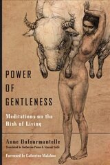 Power of Gentleness: Meditations on the Risk of Living cena un informācija | Vēstures grāmatas | 220.lv