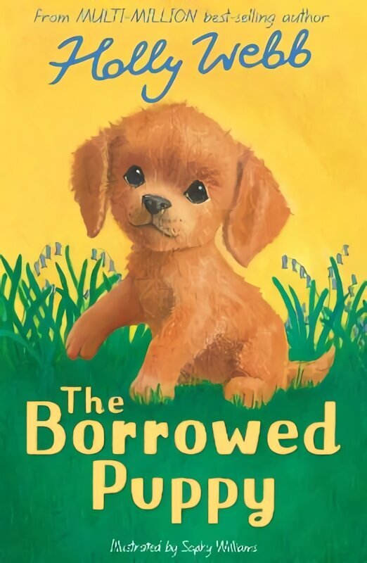 Borrowed Puppy cena un informācija | Grāmatas pusaudžiem un jauniešiem | 220.lv
