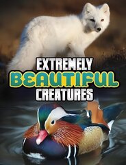 Extremely Beautiful Creatures цена и информация | Книги для подростков и молодежи | 220.lv