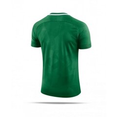 Футболка для мальчиков Nike  цена и информация | Рубашки для мальчиков | 220.lv