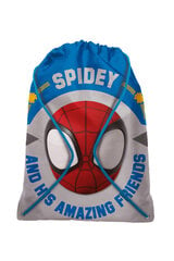 спортивная сумка с изображением Человека-паука цена и информация | Школьные рюкзаки, спортивные сумки | 220.lv