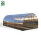 Arku siltumnīca KLASIKA TUBE 30 m² (3x10 m) cena un informācija | Siltumnīcas | 220.lv