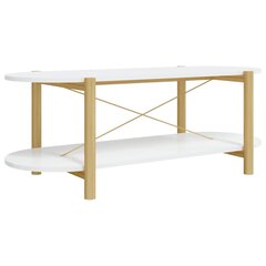 vidaXL kafijas galdiņš, balts, 100x48x40 cm, inženierijas koks cena un informācija | Žurnālgaldiņi | 220.lv