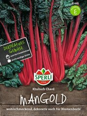 Mangolda sēklas Sperli Rhubarb chard cena un informācija | Dārzeņu, ogu sēklas | 220.lv