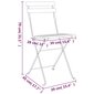 vidaXL saliekami bistro krēsli, 2 gab., akācijas masīvkoks un tērauds цена и информация | Dārza krēsli | 220.lv