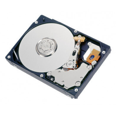 Fujitsu S26361-F5550-L960, 600GB (20 gab.) cena un informācija | Iekšējie cietie diski (HDD, SSD, Hybrid) | 220.lv