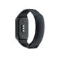 Xiaomi Redmi Smart Band 2 BHR6926GL цена и информация | Viedpulksteņi (smartwatch) | 220.lv