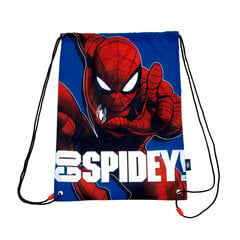 спортивная сумка с изображением Человека-паука цена и информация | Школьные рюкзаки, спортивные сумки | 220.lv