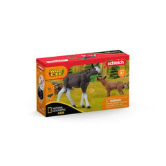 Самка лося с лосенком Schleich Wild Life цена и информация | Игрушки для девочек | 220.lv