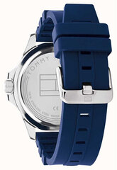 Мужские часы Tommy Hilfiger 1791991 цена и информация | Мужские часы | 220.lv