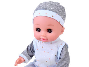 Интерактивная кукла с аксессуарами цена и информация | Игрушки для девочек | 220.lv