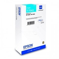 Epson WF-8090/WF-8590 цена и информация | Картриджи для струйных принтеров | 220.lv