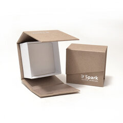Серебряные серьги ''Spark'' SAKW6106C1MPW цена и информация | Серьги | 220.lv