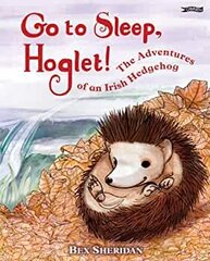 Go To Sleep, Hoglet цена и информация | Книги для самых маленьких | 220.lv