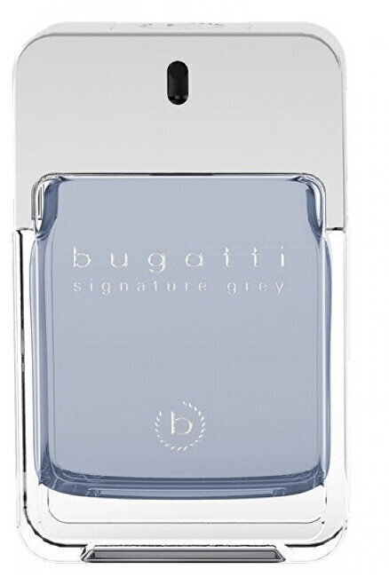 Tualetes ūdens Bugatti Signature Grey, 100 ml cena un informācija | Vīriešu smaržas | 220.lv