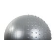 Vingrošanas bumba, 55 cm, pelēka цена и информация | Vingrošanas bumbas | 220.lv