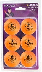 Набор мячиков для настольного тенниса Joola, 6 шт. цена и информация | Шарики для настольного тенниса | 220.lv