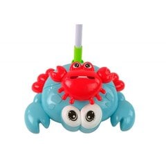 Pusher Luminous Crab Stick stūmējs cena un informācija | Rotaļlietas zīdaiņiem | 220.lv