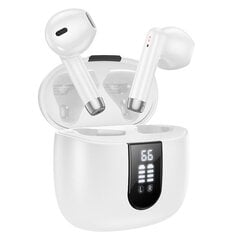 Bluetooth наушники HOCO EW36 цвет белый цена и информация | Наушники | 220.lv