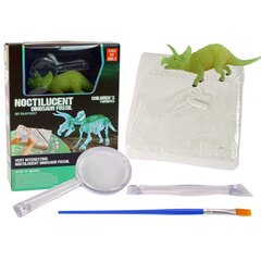 Radošs komplekts ar dinozauru Triceratops цена и информация | Развивающие игрушки | 220.lv