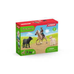 Всадник на лошади из серии Вестерн Schleich Farm World цена и информация | Игрушки для мальчиков | 220.lv