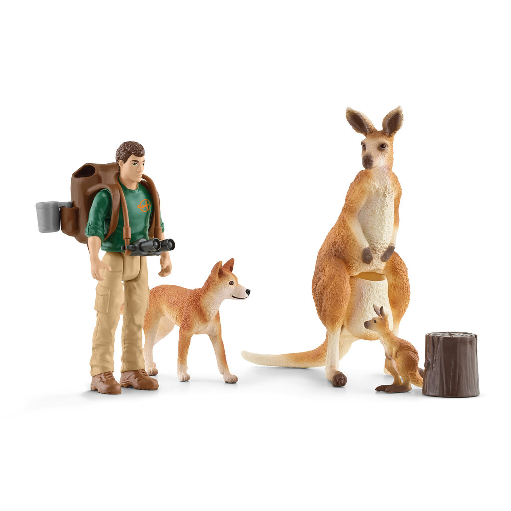 SCHLEICH WILD LIFEL Piedzīvojumi savvaļā цена и информация | Rotaļlietas zēniem | 220.lv