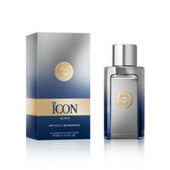 Духи мужские Antonio Banderas The Icon Elixir EDP, 100 мл цена и информация | Мужские духи | 220.lv